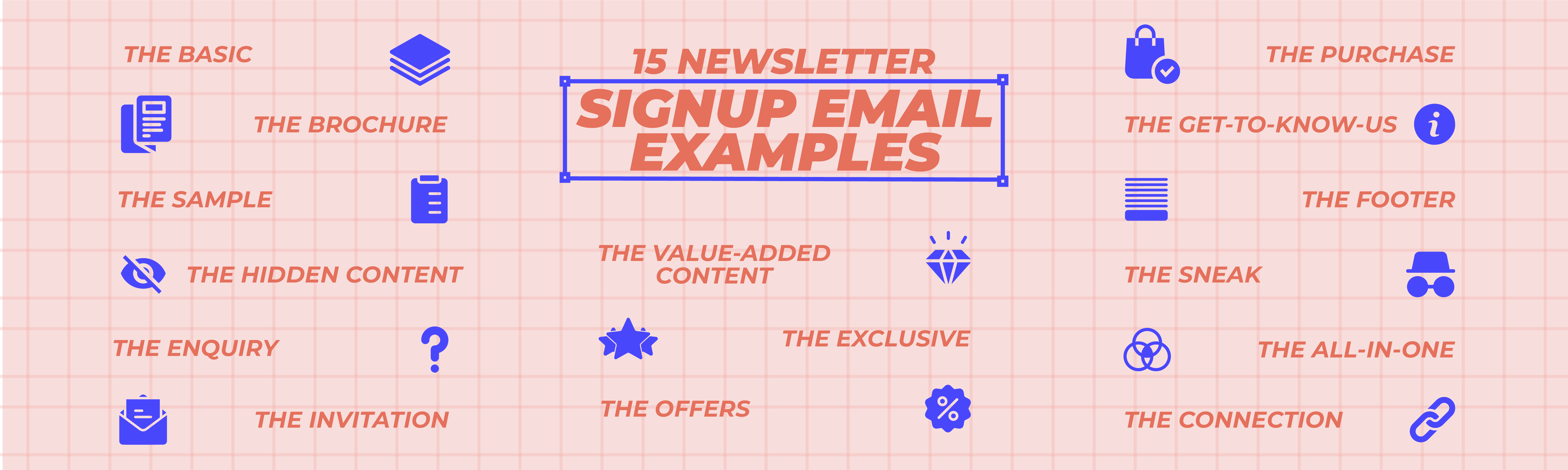 How To Create An Excellent Newsletter Signup Email? 10 Tips & Examples